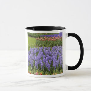 Taza Jardín de Tulipanes e Hiazintos, Jardines Keukenho