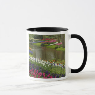 Taza Jardín de tulipanes e hyacinth, Keukenhof Gardens,