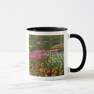 Taza Jardín de tulipanes e hyacinth, Keukenhof Gardens,