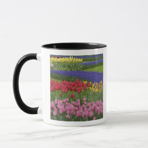 Taza Jardín de tulipanes, jacinto de uva y