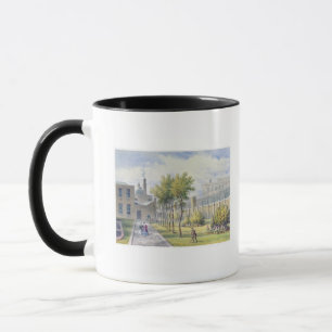 Taza Jardín del hospital de St Thomas