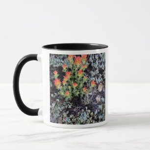 Taza Jardín en miniatura en Gem Lake