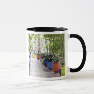 Taza Jardin Majorelle, Jardín Majorelle, ahora un espac