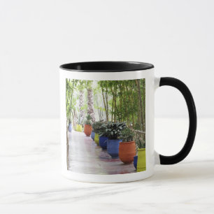 Taza Jardin Majorelle, Majorelle Garden, ahora público