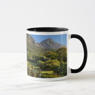 Taza Jardines botánicos de Kirstenbosch, Ciudad del Ca