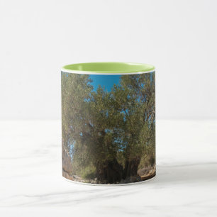 Taza Jardines de oliva de Lun