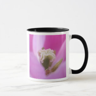 Taza Jardines Keukenhof, Holanda, se especializa en 3