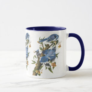 Taza Jay azul, John James Audubon