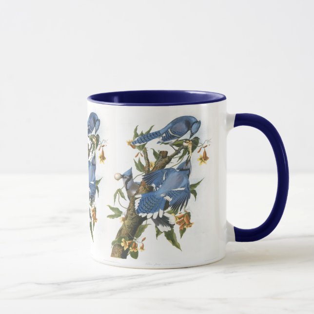 Taza Jay azul, John James Audubon (Derecha)