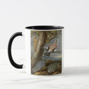 Taza Jay, pulsación de corriente verde, palomas y
