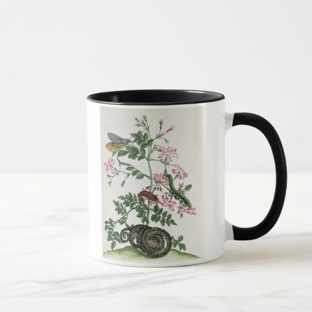 Taza Jazmín: con la serpiente, la polilla, el (Derecha)
