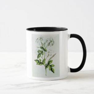 Taza Jazmín, de 'La Guirlande de Julie'