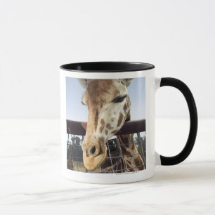 Taza Jirafa
