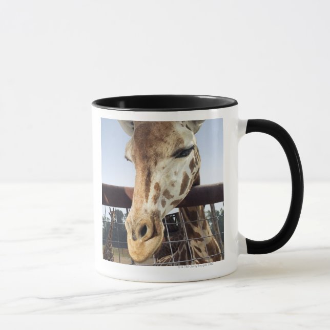 Taza Jirafa (Derecha)