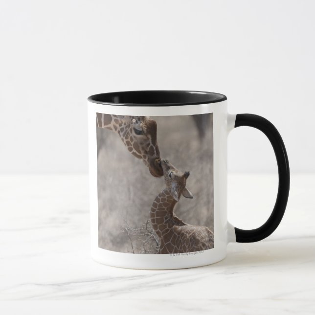 Taza Jirafa, Kenia, África (Derecha)