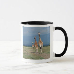 Taza Jirafa reticulada (camelopardalis del Giraffa) 2