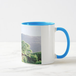 Taza Jirafas de Tanzania