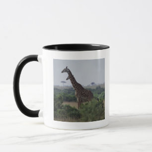 Taza Jirafas en África