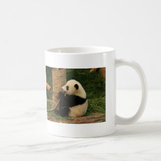 Taza joven de la panda gigante