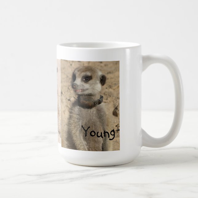 Taza joven de Meerkat (Derecha)