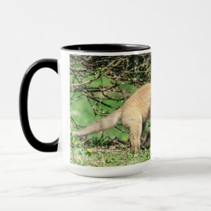 Taza Juego de Red Fox Kits