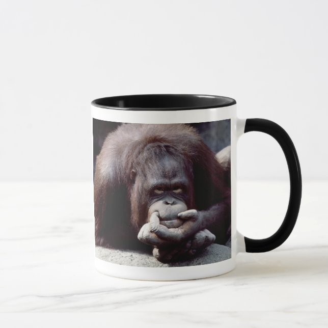 Taza Juego de vida silvestre - Primates 10 (Derecha)