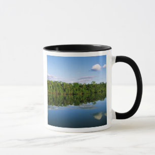 Taza Juruena, Brasil. Orilla del río boscoso reflejada