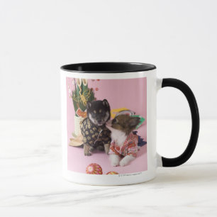 Taza Kanagawa, Honshu, Japón