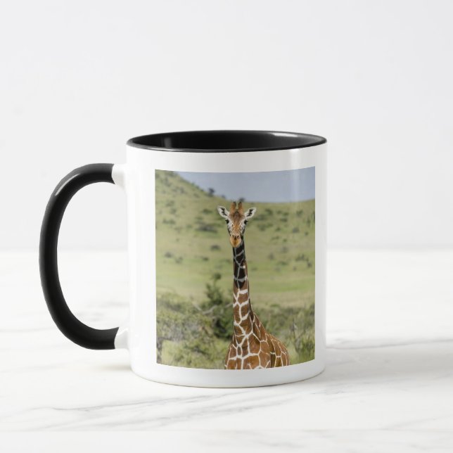 Taza Kenia, conservación de Lewa, situación de la (Izquierda)