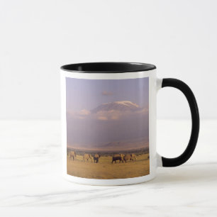 Taza Kenia: Parque Nacional Amboseli, Elefantes