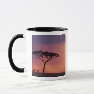 Taza Kenia: Parque Nacional Masai Mara, Atardecer.