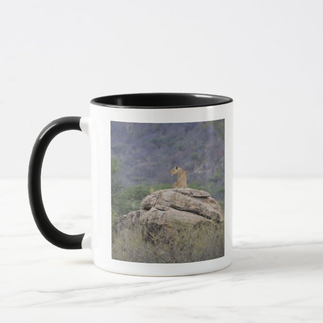 Taza Kenia, reserva de naturaleza de Samburu, león (Izquierda)