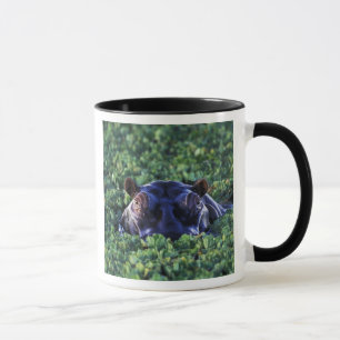 Taza Kenia, Reserva Nacional Masai Mara.
