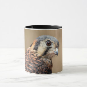 Taza Kestrel americano