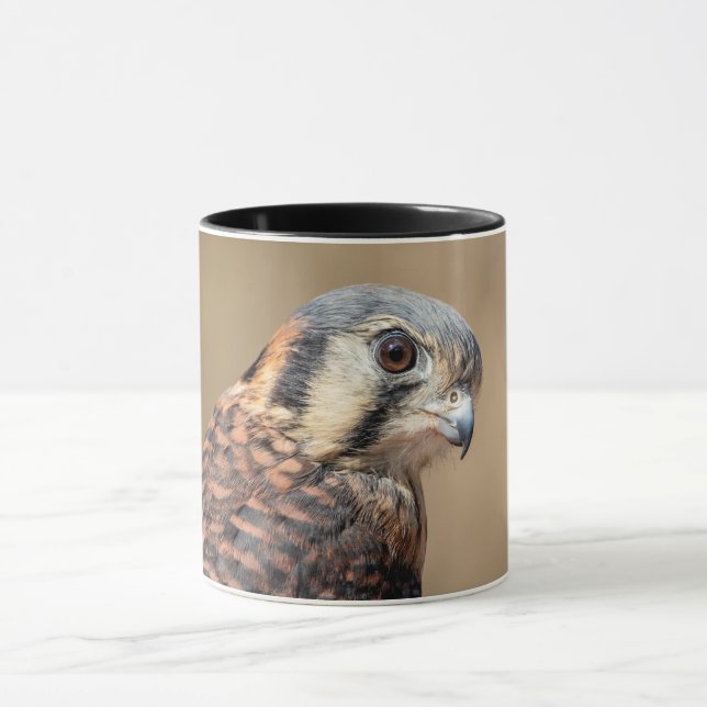 Taza Kestrel americano (Centro)