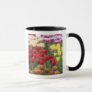 Taza Keukenhof Gardens, Holanda, se especializa en 2