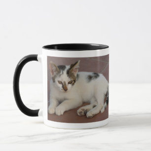 Taza Kitten Mug