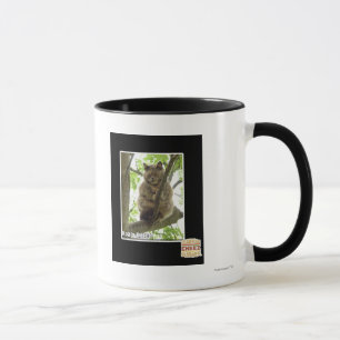 Taza Koala Kitteh