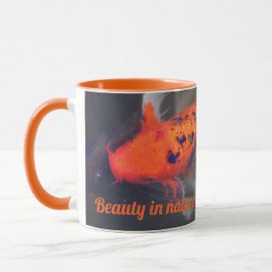 Taza Koi, Pez Carpa