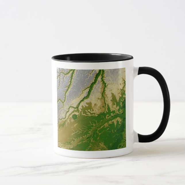 Taza La Amazonía boliviana (Derecha)