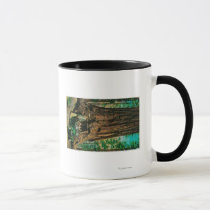 Taza La arboleda grande del árbol de Mariposa, Yosemite