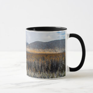 Taza La bifurcación media del río Flathead