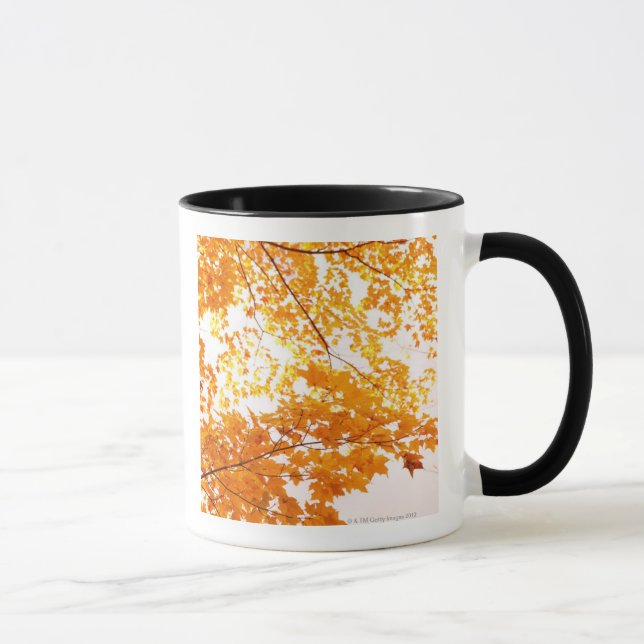 Taza La caída deja la reflexión (Derecha)