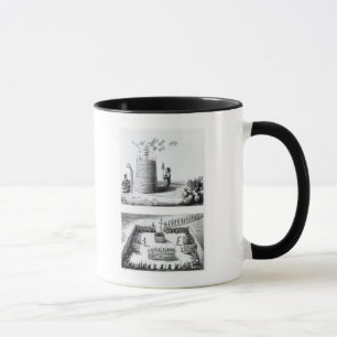 Taza La casa de campo y Medawisos del profeta