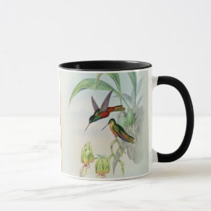 Taza La estrella de Bonaparte afrontó el colibrí