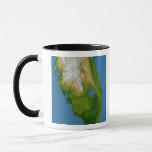Taza La Florida meridional