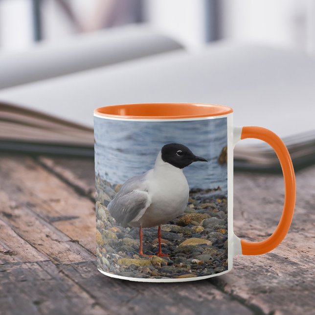 Taza La gaviota de Bonaparte en la playa (Bonapartes Gull at Beach 11 oz Coffee Mug Cover Photo)