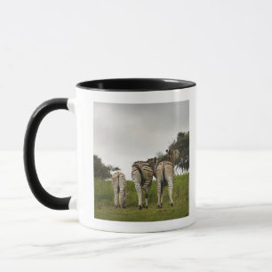 Taza La parte trasera de tres cebras, Suráfrica