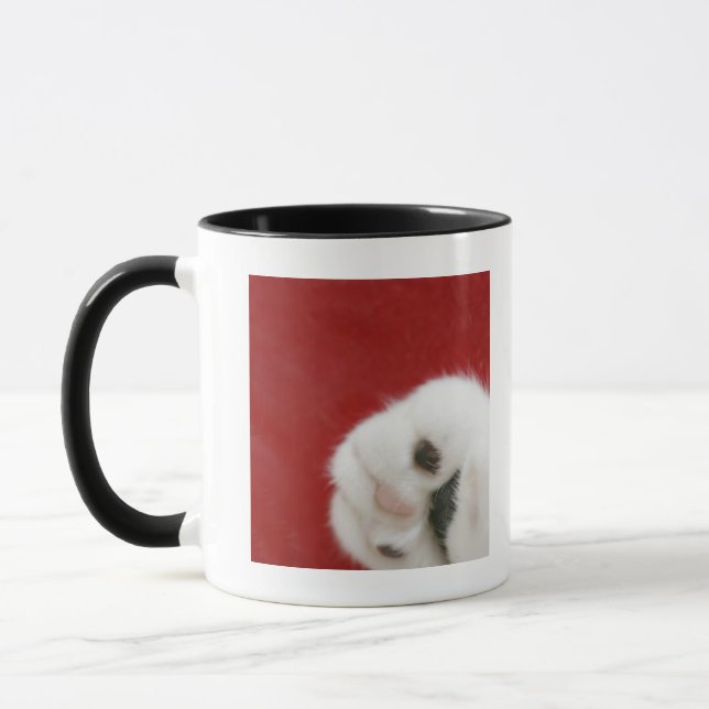 Taza La pata del gato (Izquierda)