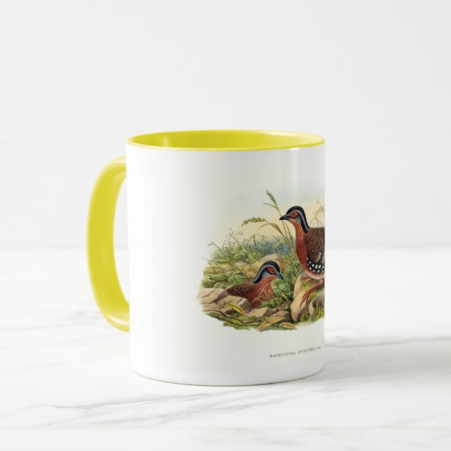Taza La perdiz de pecho rojo (hiperitra de Bambusicola) (Anverso izquierdo)